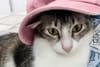 Cleo: The Rebel Skater with Eyeliner to Die For