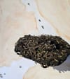Army Of Ants