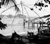 Real Story Behind Kochi’s Famous Chinese Fishing Nets?