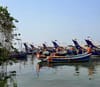 Saving Our Shores: A Guide for Fort Kochi [5 feb]