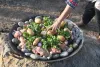 Tales From The Table: Peruvian & Mattancherry Food Traditions Meet in Fort Kochi [Feb 4]